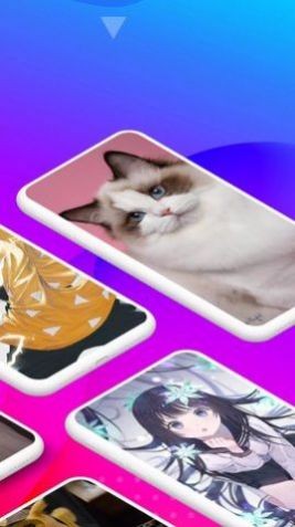 安卓biu主题壁纸软件下载