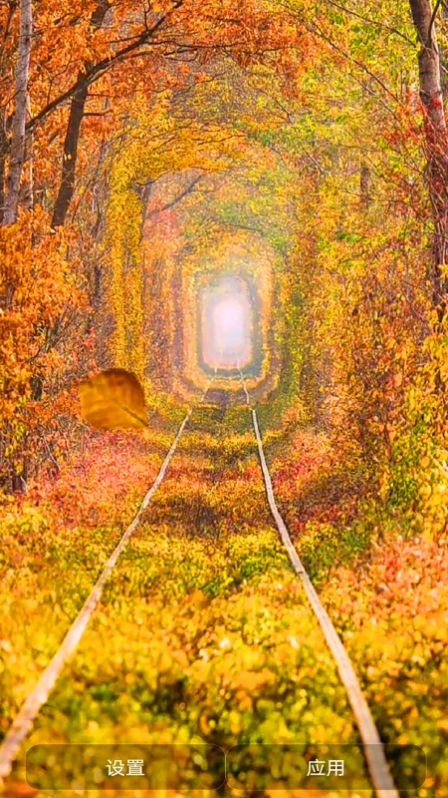 爱动态壁纸app下载