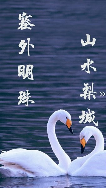 安卓库尔勒好地方安卓版app