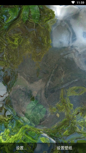 安卓鱼池动态壁纸app