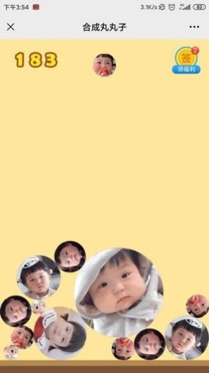 安卓合成丸丸子苹果版在线玩 v1.0app