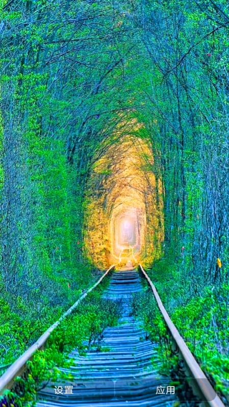 安卓爱动态壁纸appapp