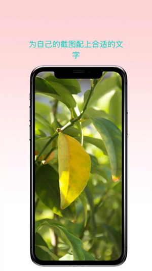 安卓曲奇截屏app 最新版1.1软件下载