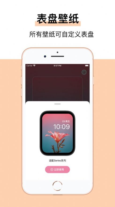 安卓冰淇淋壁纸apkapp