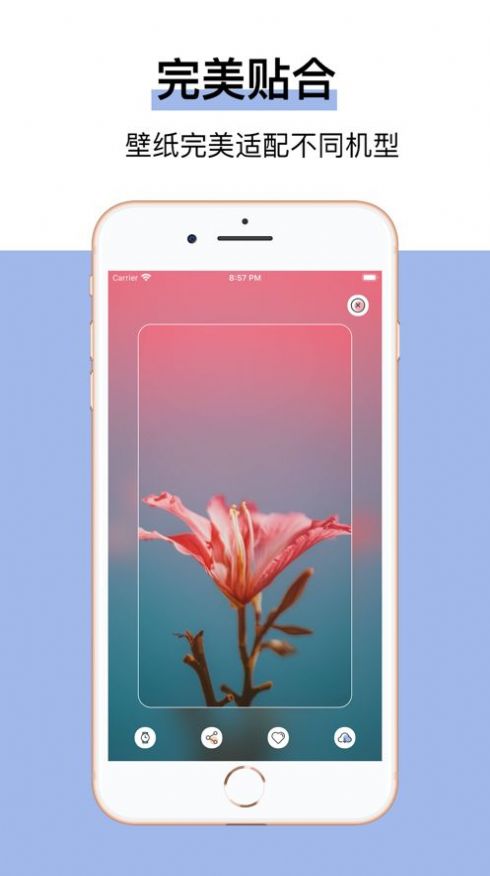 安卓冰淇淋壁纸apk软件下载