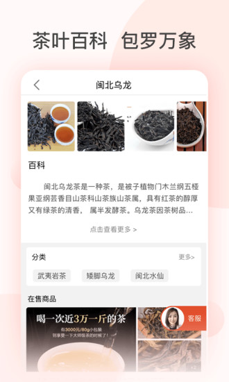 茶吉送下载