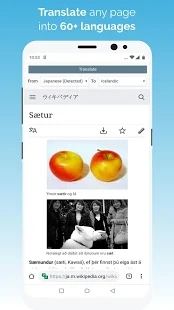 安卓kiwi浏览器中文最新版app