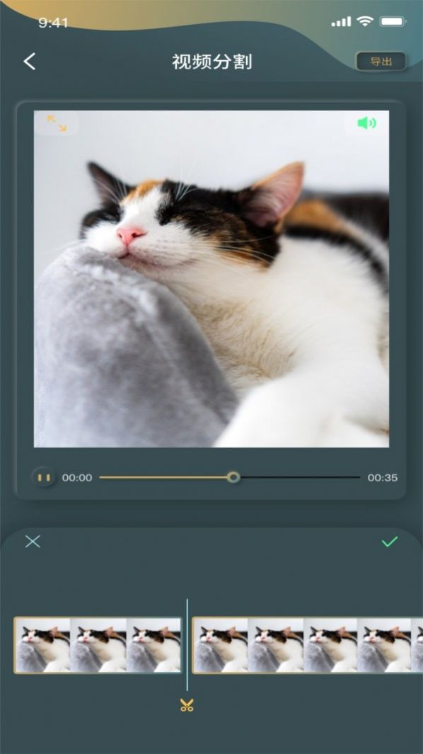 安卓秋葵工具集app官方版下载 v1.0.2app