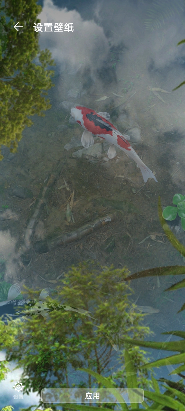 安卓鱼池动态壁纸免费版软件下载