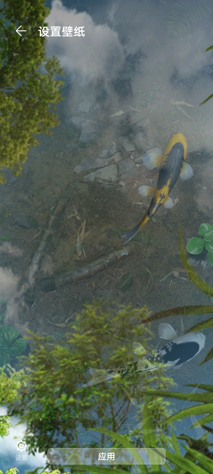 鱼池动态壁纸免费版下载