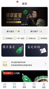 安卓丹诺翡翠app