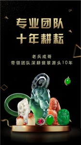 玩转翡翠安卓版