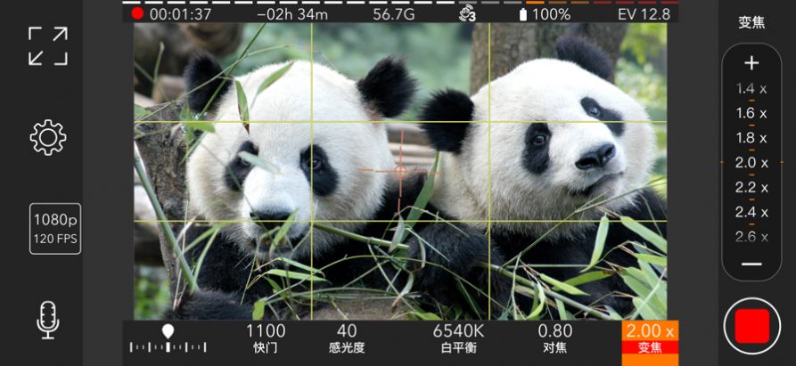安卓promovie专业摄像机下载app正版下载 v15.1.20app