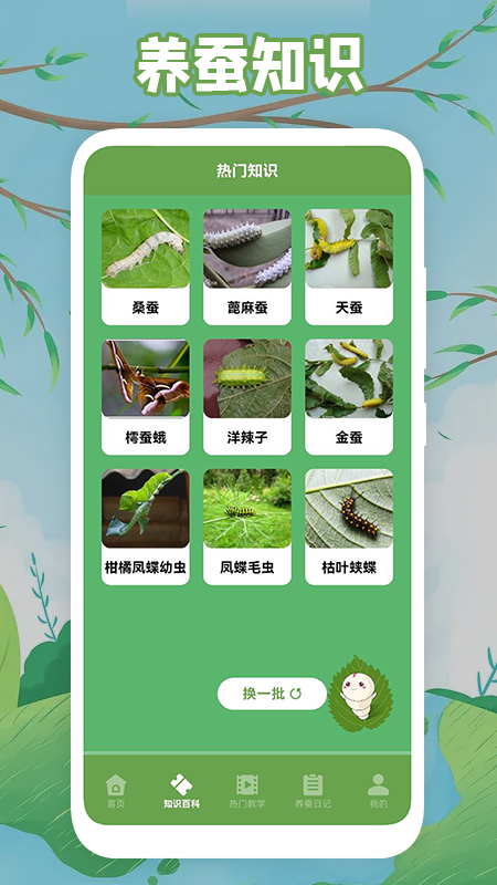 安卓快乐养蚕软件下载