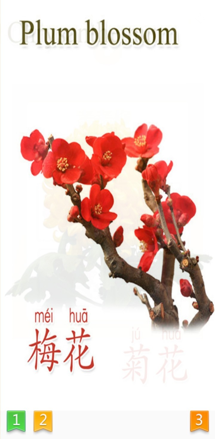 天天植物app下载