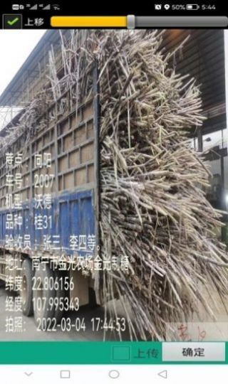 水印照片管理系统app下载