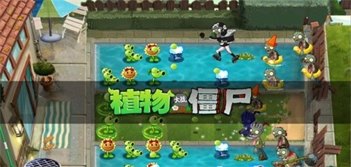 安卓papp