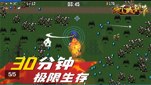 地下城割草抖音版下载