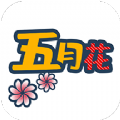 free五月花