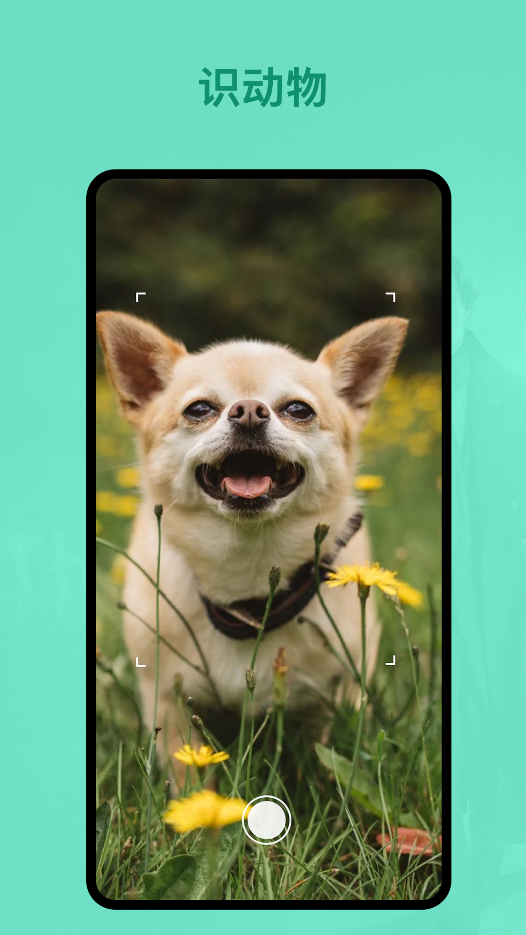安卓识植物软件下载