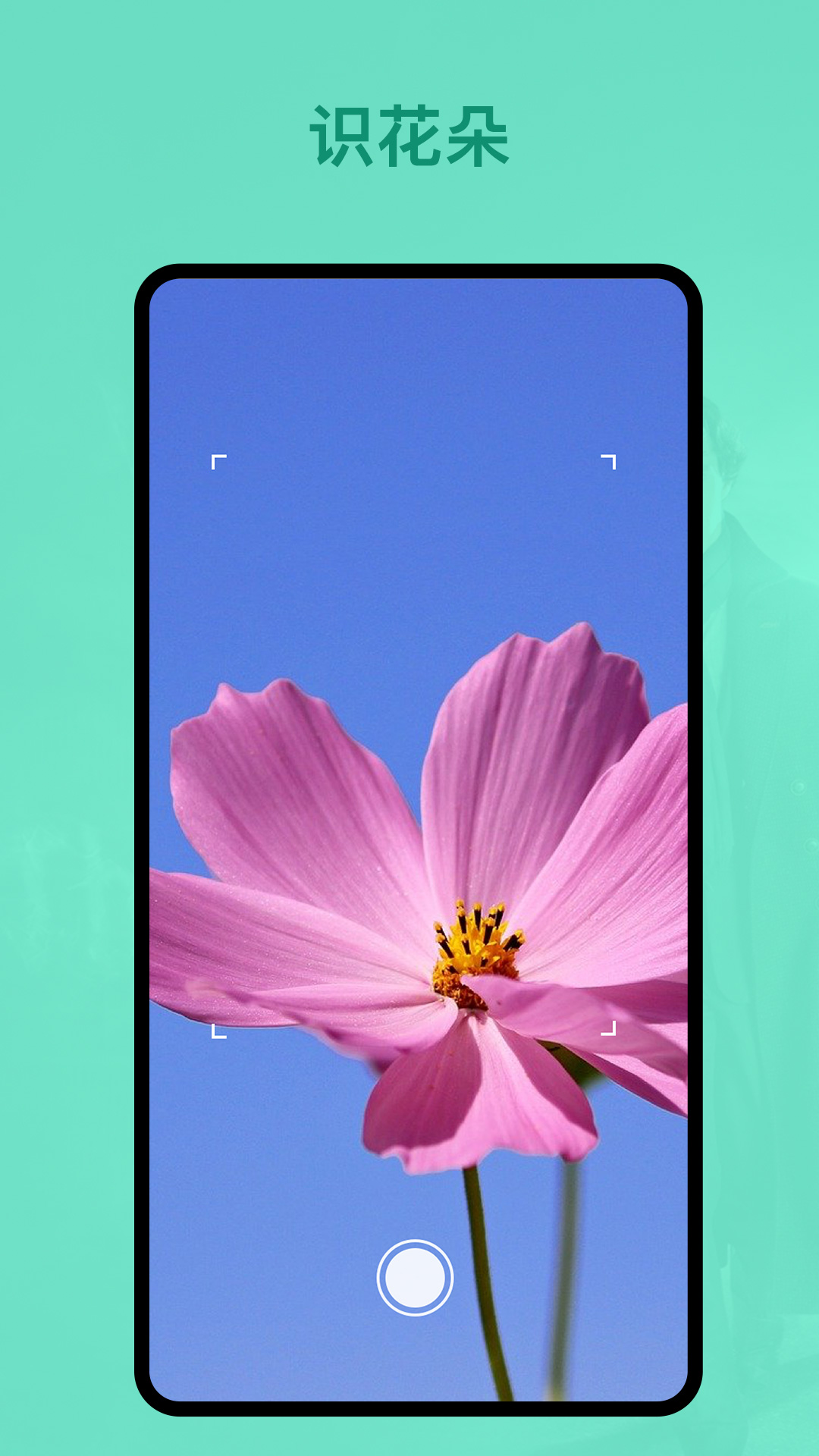 识植物app下载