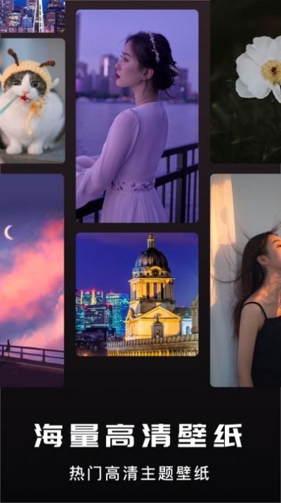 安卓咸鱼壁纸之王app软件下载