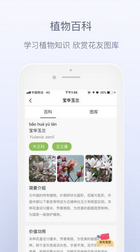安卓花伴侣appapp