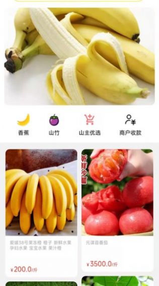 天蕉云果app下载
