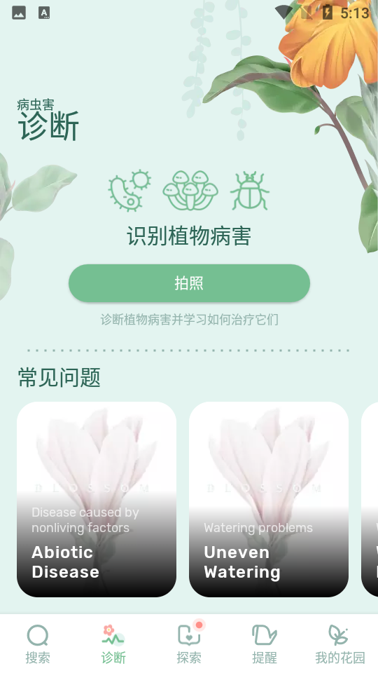 安卓blossom繁花盛开app