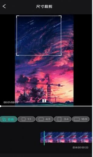 安卓仙人掌点视频app官网版 v1.0.1app