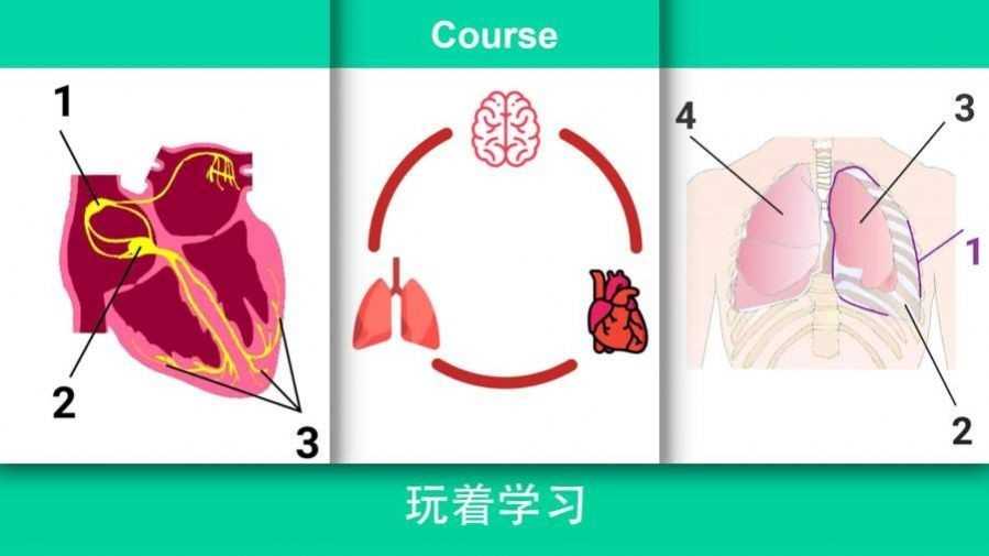 安卓现实医疗模拟器中文版软件下载