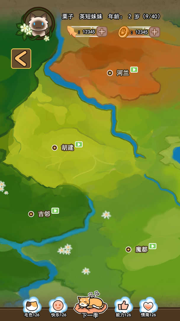 萌猫养成记v1.0