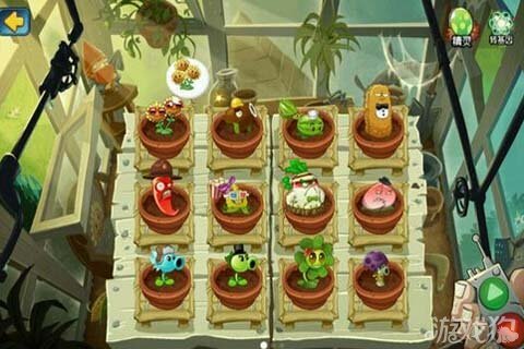 植物大战僵尸 金坷垃官方最新版