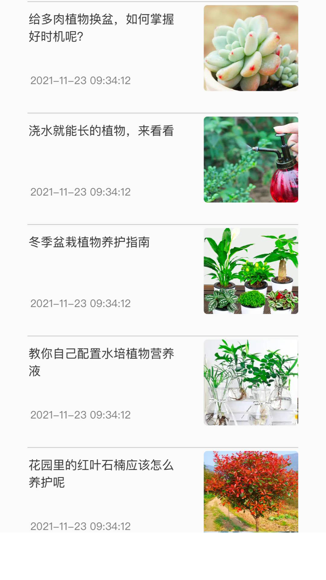 神农百草集app下载