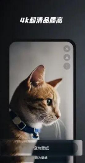 安卓余香壁纸主题app手机版 v1.0软件下载