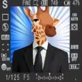 疯狂生物竞赛游戏手机版 v1.00