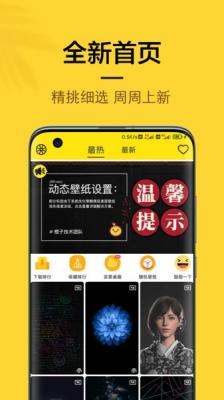 安卓4k像素壁纸软件下载