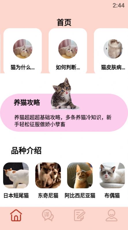 摸摸小猫app下载