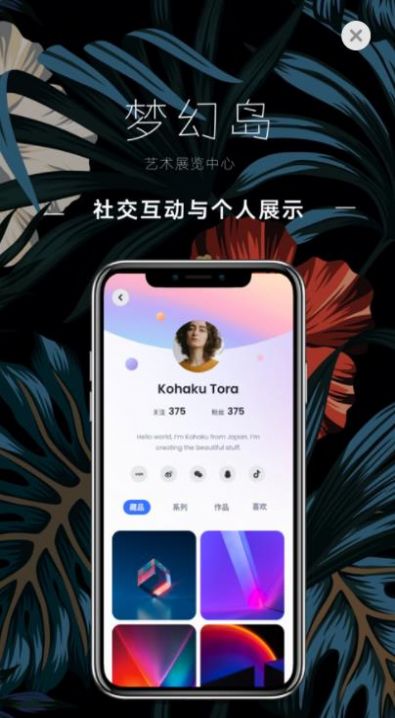 梦幻岛数字藏品平台app官网版 v1.0.2