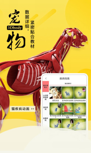 3dbody宠物下载