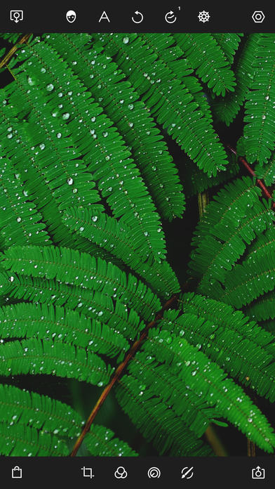 泼辣修图 旧版本app下载