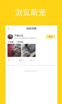 安卓宠萌小窝软件下载