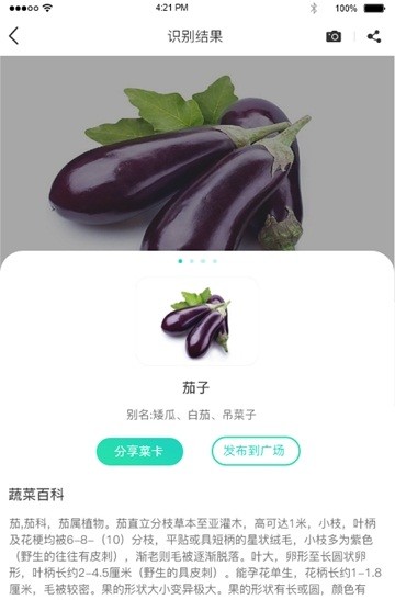安卓识菜君app