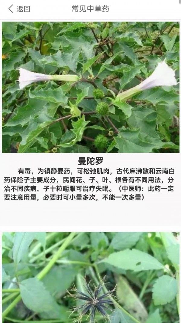 安卓养生健康减肥软件下载