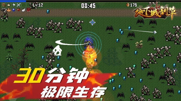 地下城割草游戏手机版