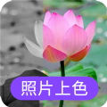 照片上色app手机版 v22.3.11