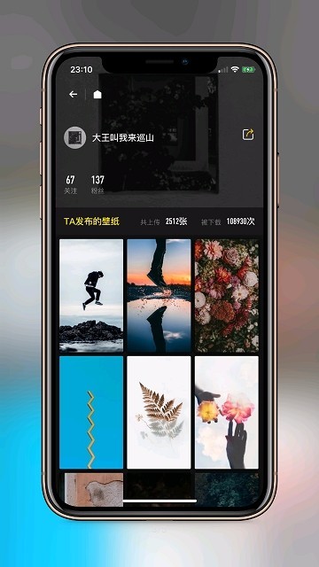 安卓纸塘壁纸软件下载