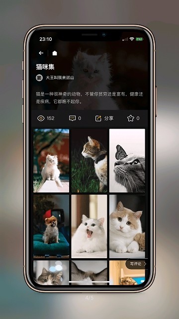 安卓纸塘壁纸app