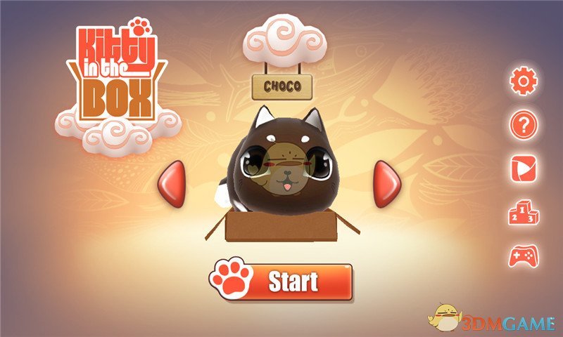 盒子里的猫