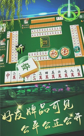丽水茶苑app